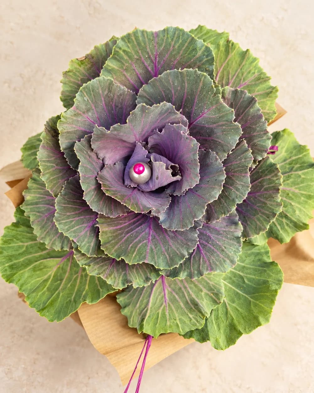 Gartenmotiv 15: Mehr aus dem Laden
