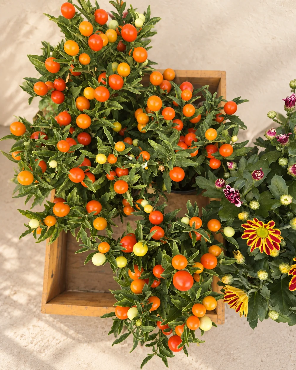 Gartenmotiv 17