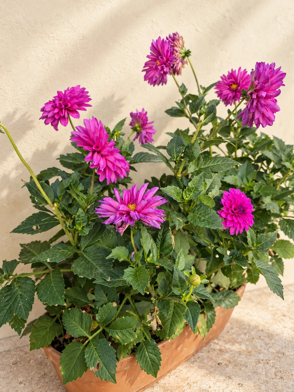 Gartenmotiv 21